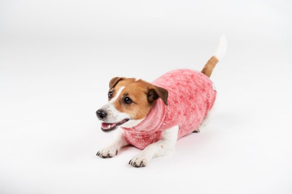 Classic Pullover "Lilli" Berry Hearts - Image 3