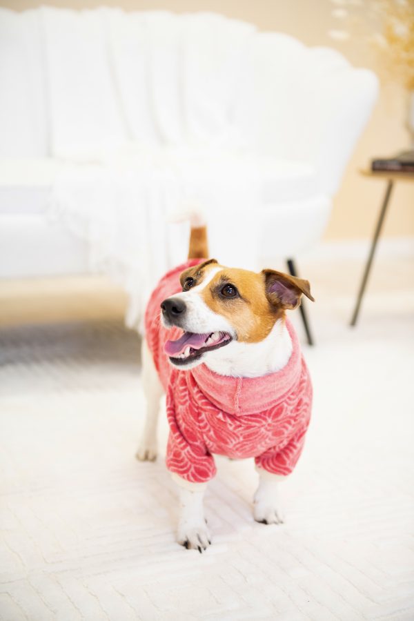 Luxury Pullover with sleeves "Rita" Berry Red - Image 11