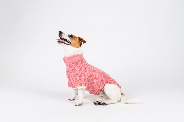 Luxury Pullover with sleeves "Rita" Berry Hearts - Image 3