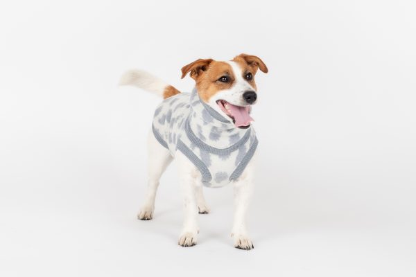 Premium two piece set "Roosi" Hedgehog - Image 4