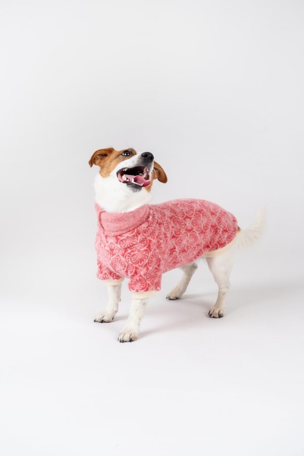 Luxury Pullover with sleeves "Rita" Berry Hearts - Image 5