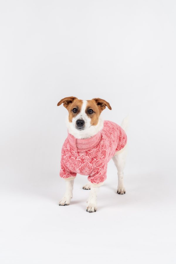 Luxury Pullover with sleeves "Rita" Berry Hearts