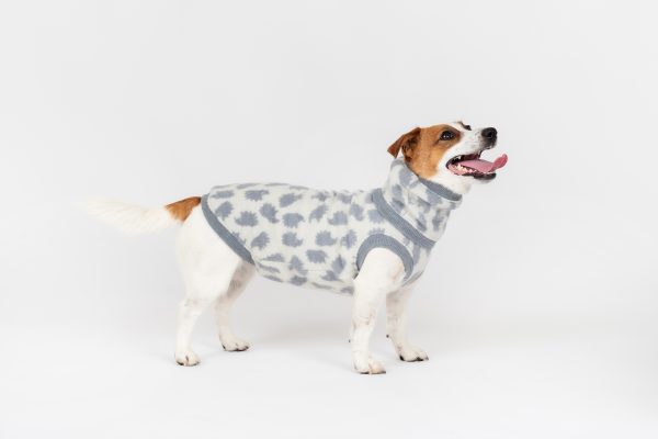 Premium two piece set "Roosi" Hedgehog - Image 5