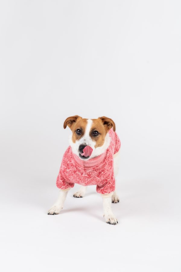 Luxury Pullover with sleeves "Rita" Berry Hearts - Image 7