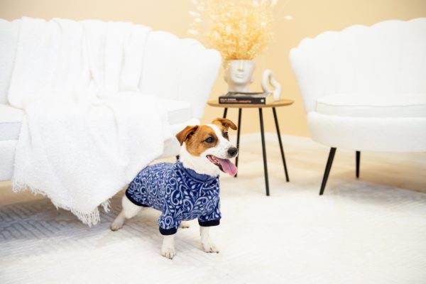 Luxury Pullover with sleeves "Rita" Royal Blue