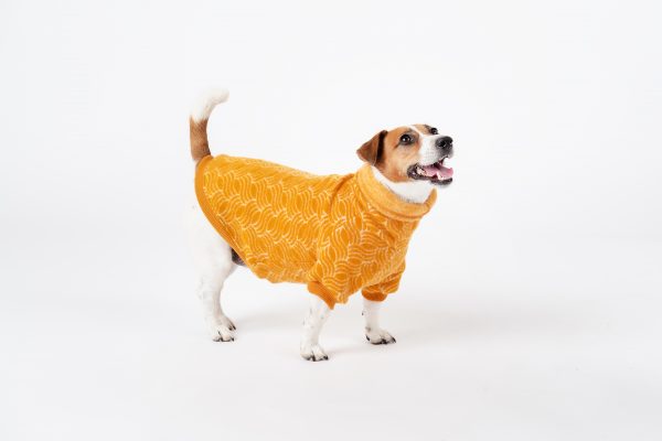 Luxury Pullover with sleeves "Rita" Golden Yellow - Image 4