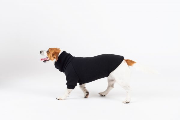 Luxury Pullover with sleeves "Rita" Black - Image 5