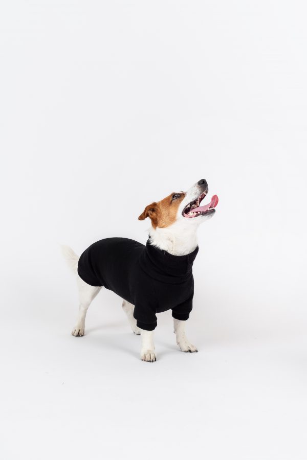 Luxury Pullover with sleeves "Rita" Black - Image 2