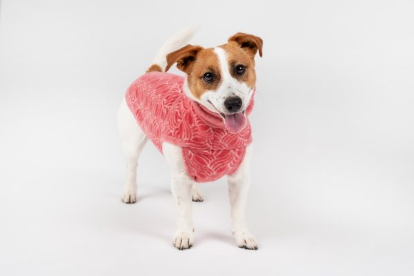 Classic Pullover "Lilli" Berry Red - Image 2