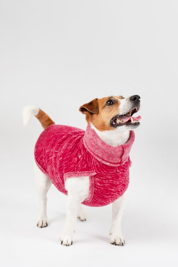 Classic Pullover "Lilli" Burgundy Red - Image 5