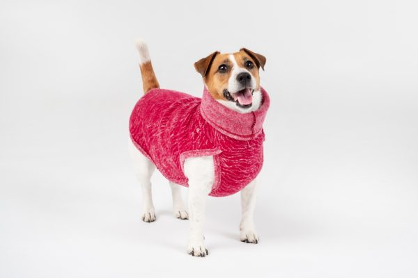 Classic Pullover "Lilli" Burgundy Red - Image 4