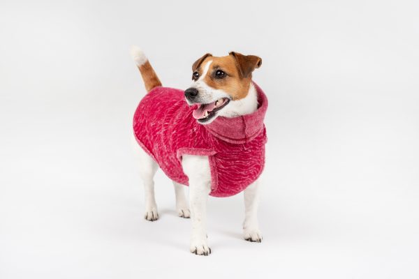 Classic Pullover "Lilli" Burgundy Red - Image 3
