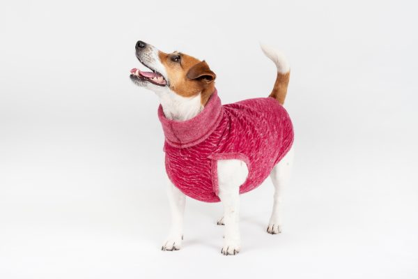 Classic Pullover "Lilli" Burgundy Red - Image 2