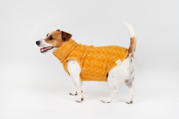 Classic Pullover "Lilli" Golden Yellow - Image 4