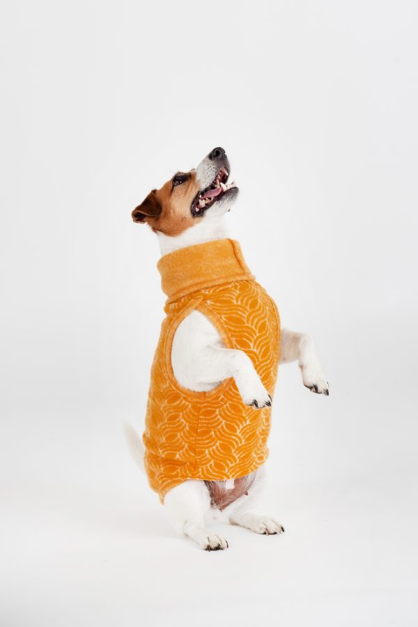 Classic Pullover "Lilli" Golden Yellow - Image 2