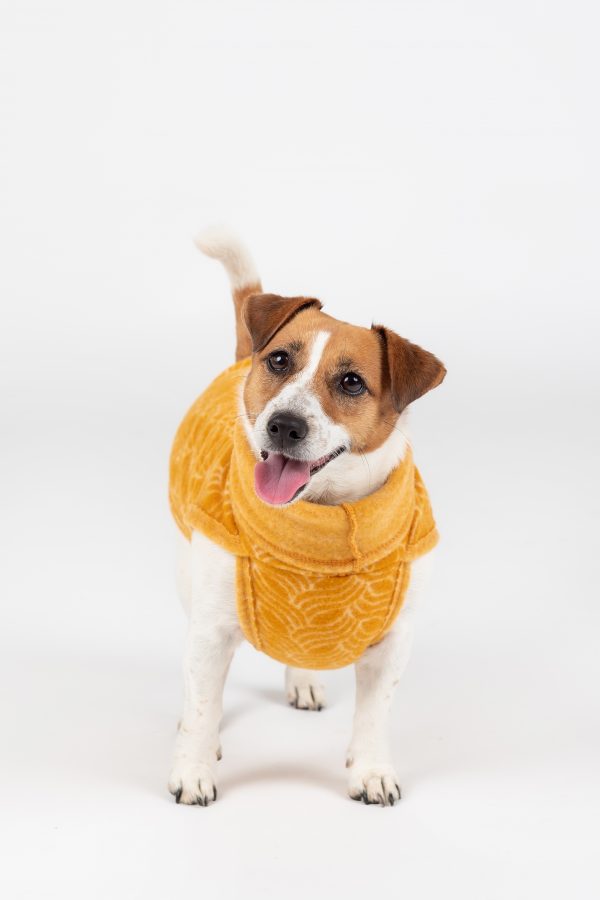Classic Pullover "Lilli" Golden Yellow