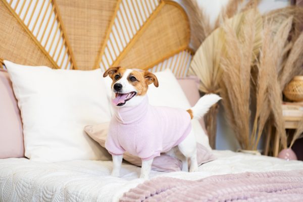 Luxury Pullover with sleeves "Rita" Pink - Image 7