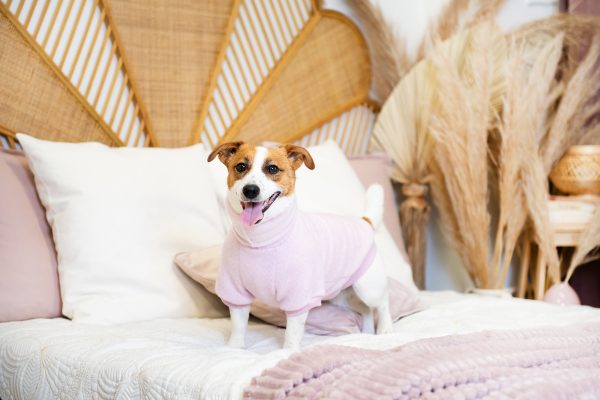 Luxury Pullover with sleeves "Rita" Pink