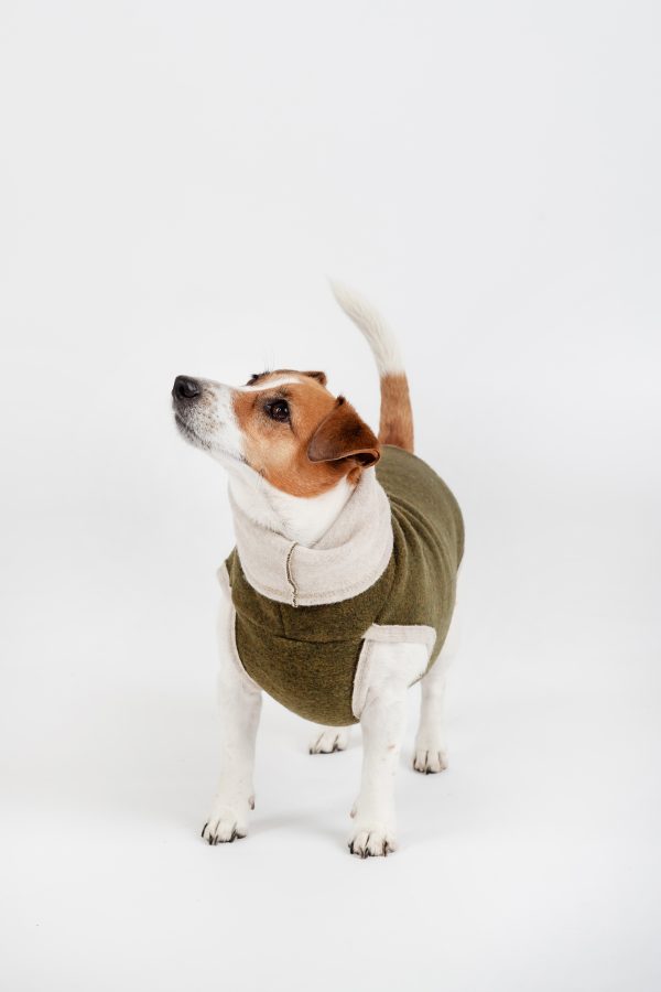 Classic Pullover "Lilli" Moss green - Image 3