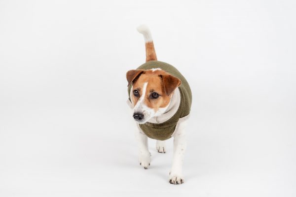 Classic Pullover "Lilli" Moss green - Image 2