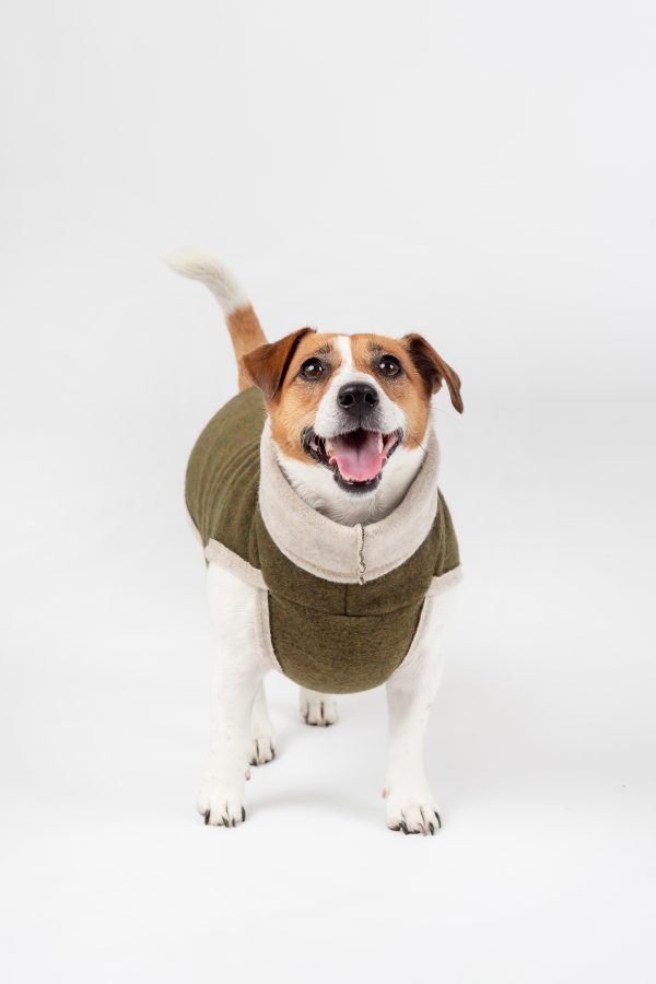 Classic Pullover "Lilli" Moss green