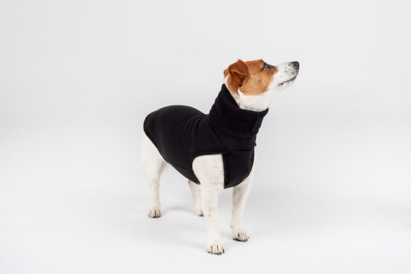 Klassikaline Pullover "Lilli" Black - Image 2