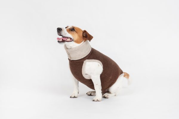 Classic Pullover "Lilli" Tobacco Brown - Image 2