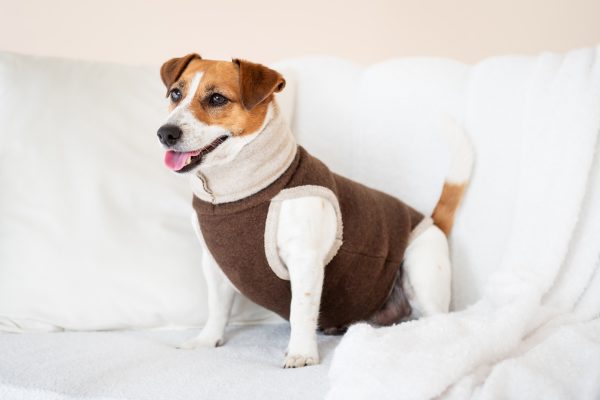 Classic Pullover "Lilli" Tobacco Brown