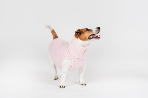 Classic Pullover "Lilli" Pink - Image 2
