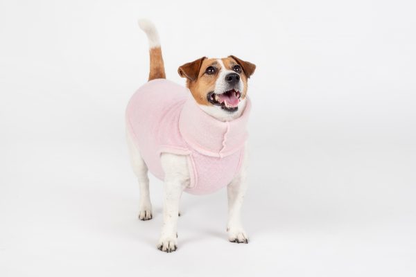 Classic Pullover "Lilli" Pink - Image 3