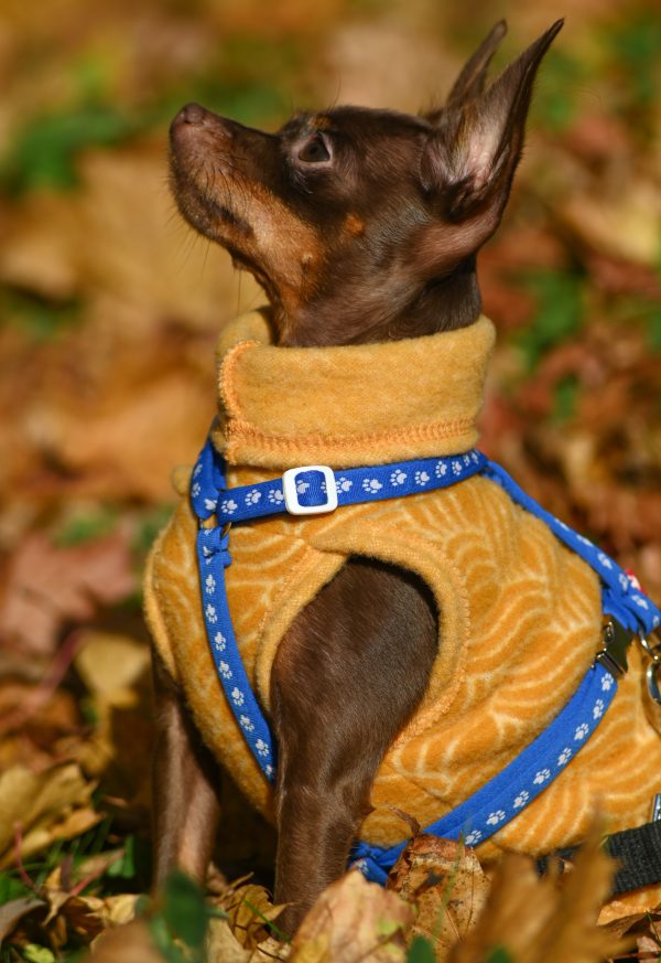 Classic Pullover "Lilli" Golden Yellow - Image 5