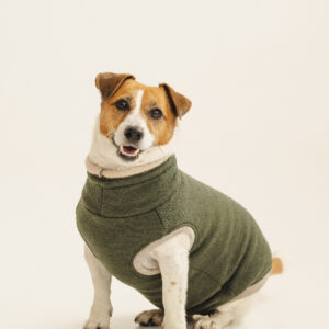 Double-Layer Merino Wool Dog Sweater “Lilli” – Moss Green