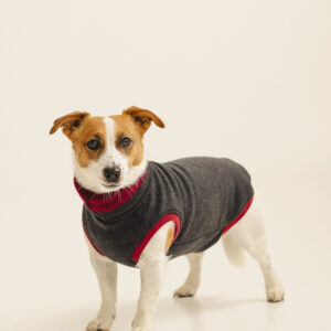 Double-Layer Merino Wool Dog Sweater “Lilli” – Dark Grey