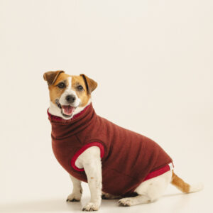 Double-Layer Merino Wool Dog Sweater “Lilli” – Burgundy