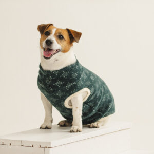 Merino Wool Dog Sweater “Lilli” – Forest Diamond