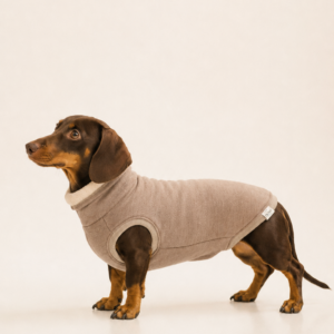 Double-Layer Merino Wool Dog Sweater “Lilli” – Cocoa