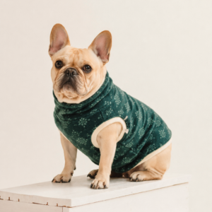 Merino Wool Dog Sweater “Lilli” – Forest Diamond