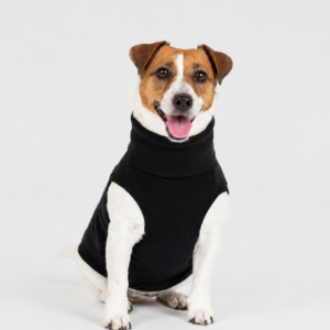 Merino Wool Dog Sweater – 100% Wool Fleece Dog Jumper, Black